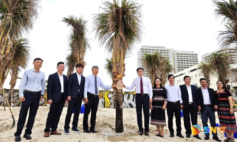quan-hamyang-han-quoc-tang-dua-chung-tay-bao-ve-bai-bien-da-nang